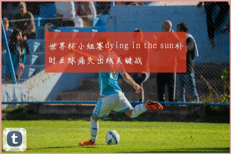 世界杯小组赛dying in the sun补时丢球痛失出线关键战