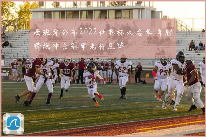 西班牙公布2022世界杯大名单 年轻锋线冲击冠军老将压阵