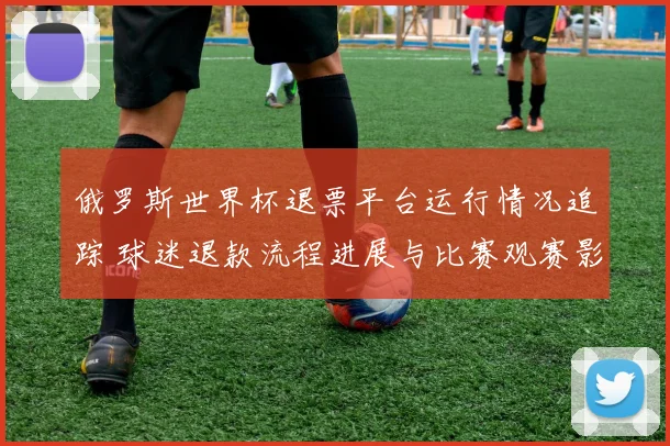 俄罗斯世界杯退票平台运行情况追踪 球迷退款流程进展与比赛观赛影响